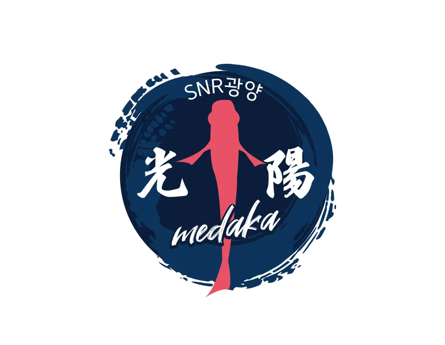 메다카엠블럼